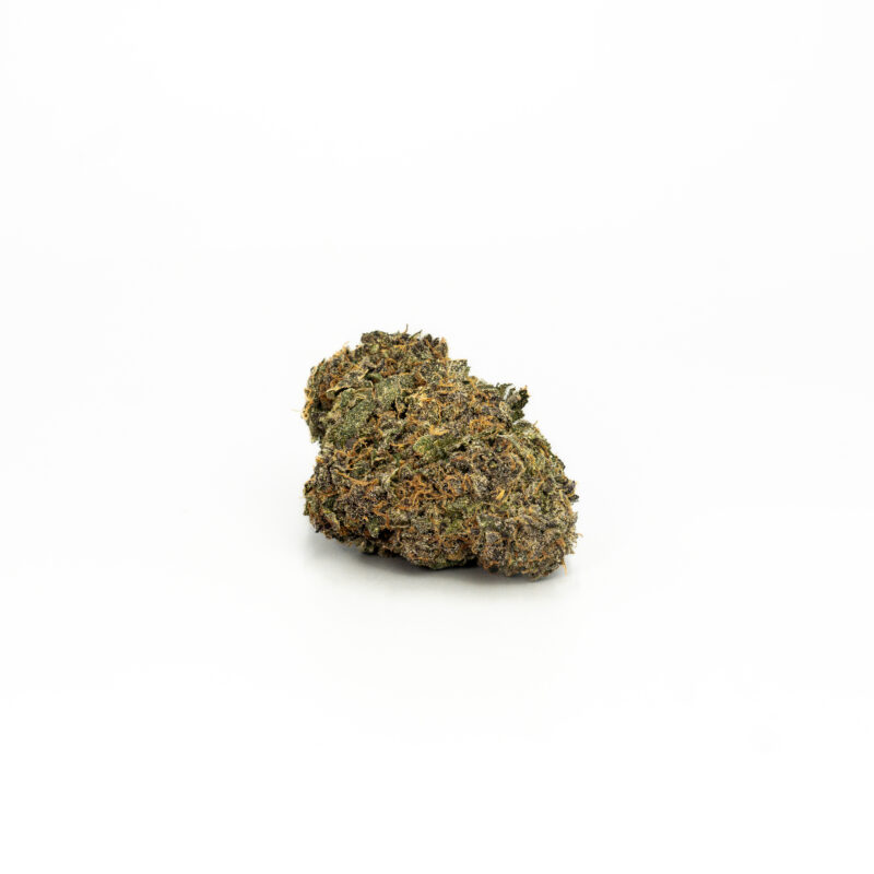 Black Truffle Monkey - Image 4