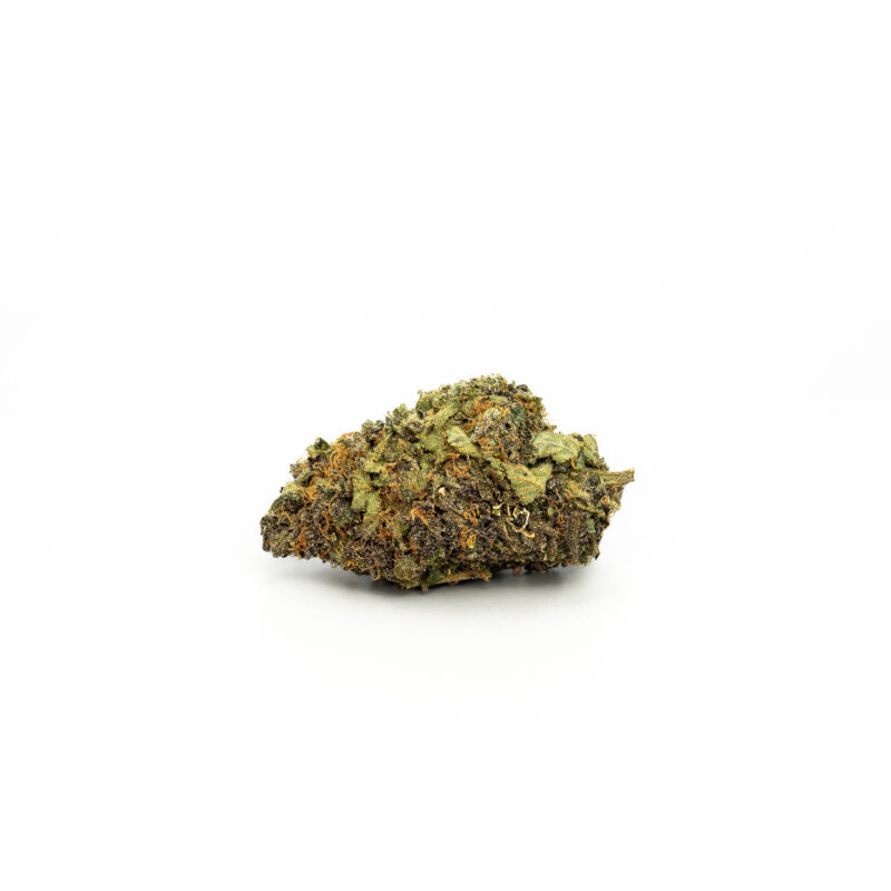 Black Truffle Monkey - Image 3