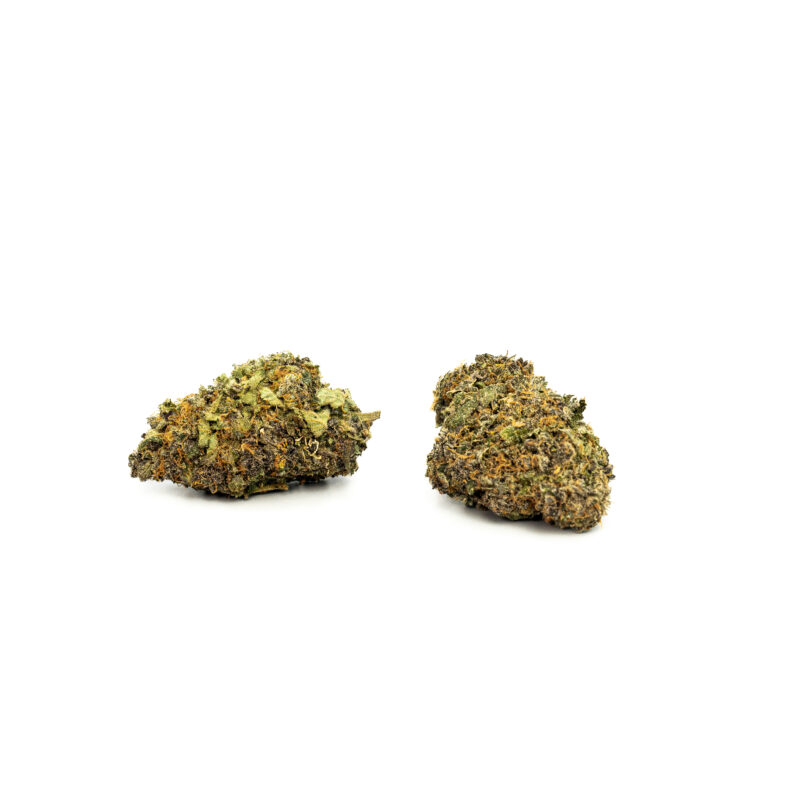 Black Truffle Monkey - Image 2
