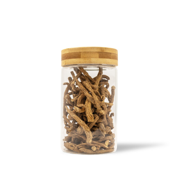 Chinese Angelica - Image 2