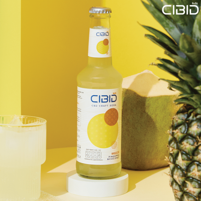 CIBID-BREEZE Pineapple & Coconut