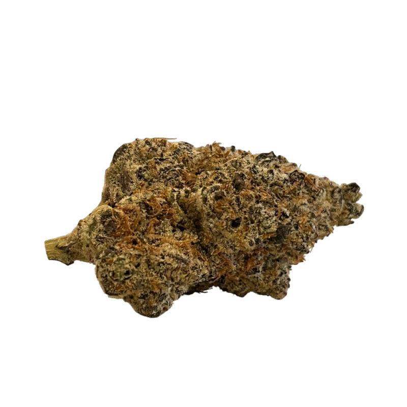 Mocha Truffle