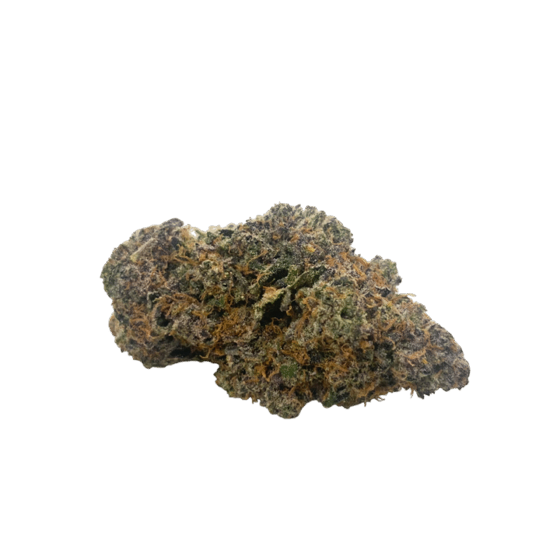 Cherry Biscotti