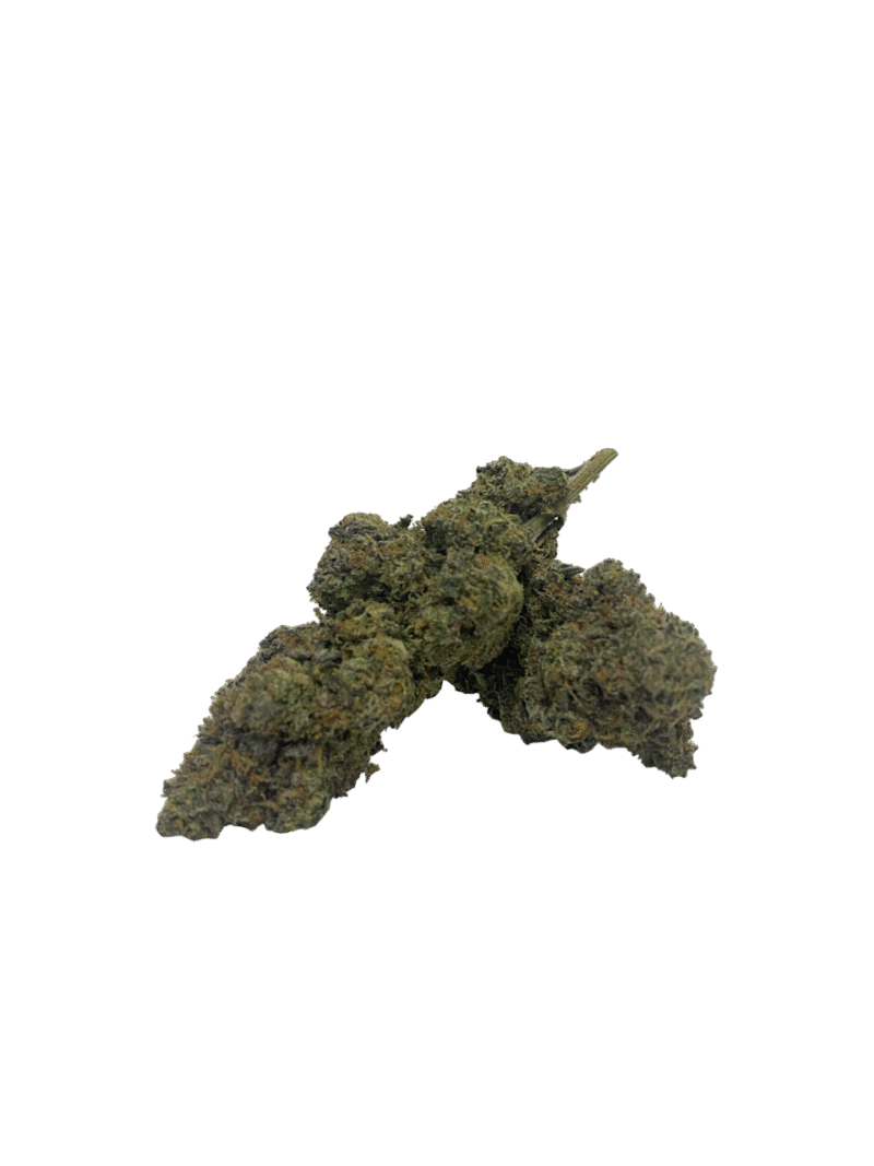 Bubblegum Sherbet