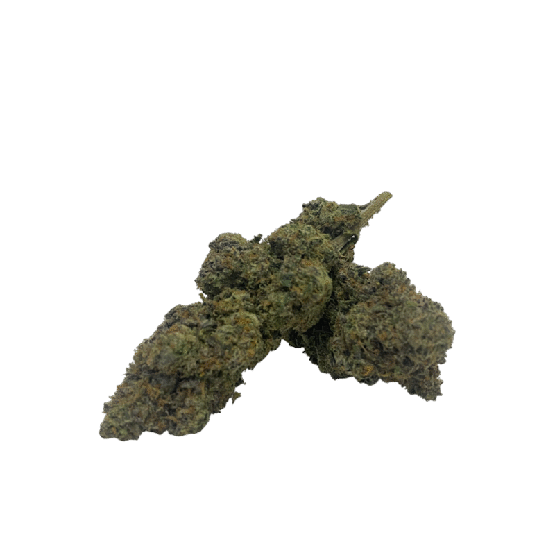 Bubblegum Sherbet