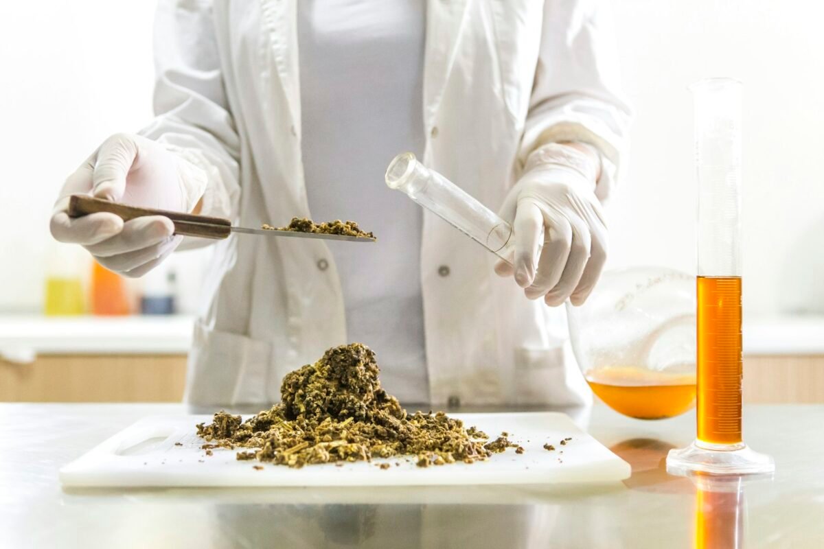 Laboratory technician preparing a cannabis extract sample