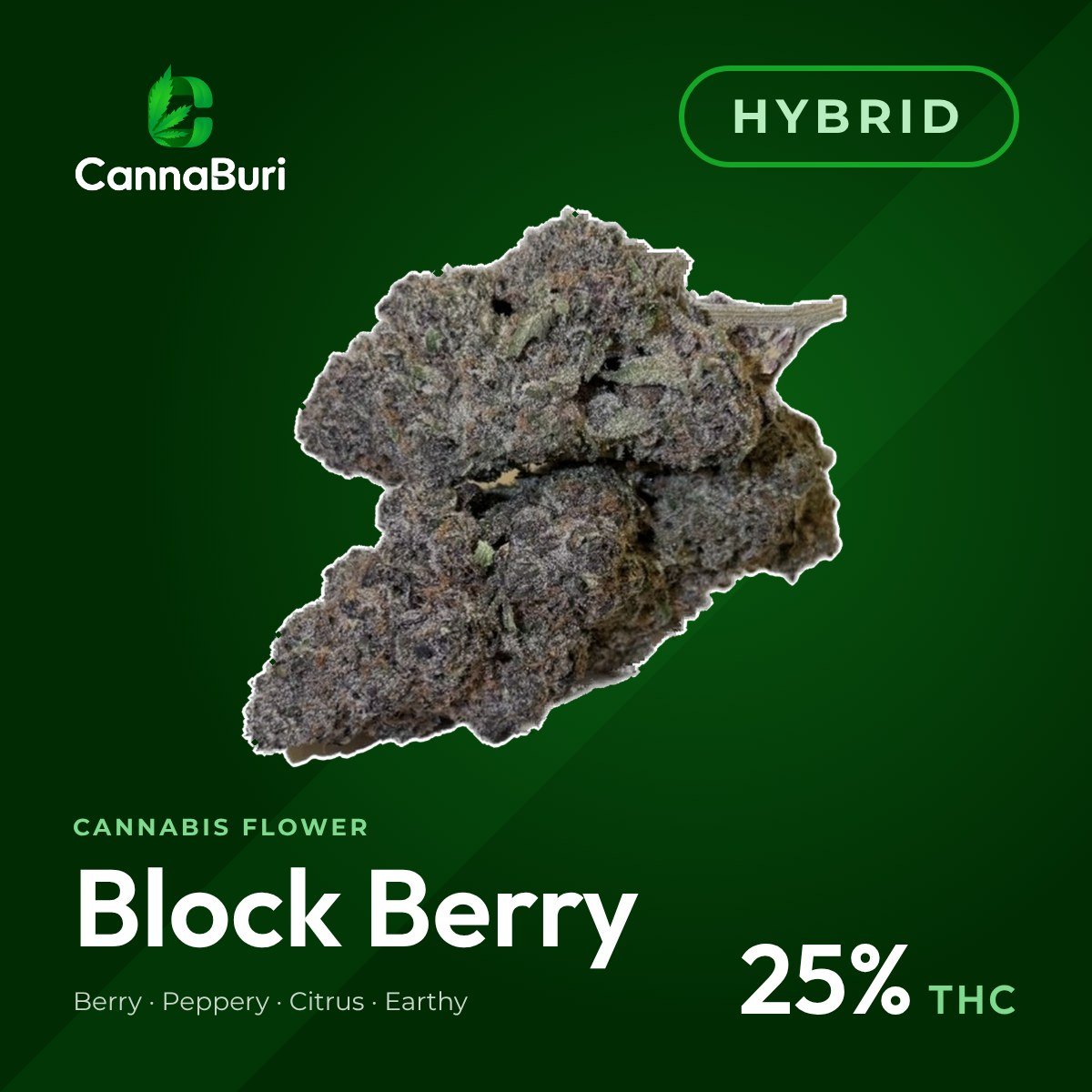 Block Berry hybrid cannabis flower, CannaBuri Pattaya