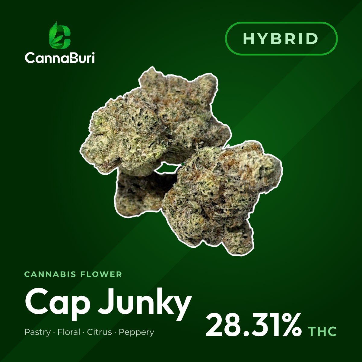 Cap Junky hybrid cannabis flower, CannaBuri Pattaya