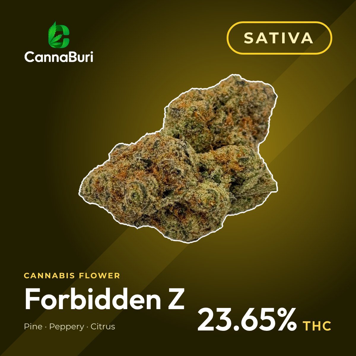 Forbidden Z sativa cannabis flower, CannaBuri Pattaya