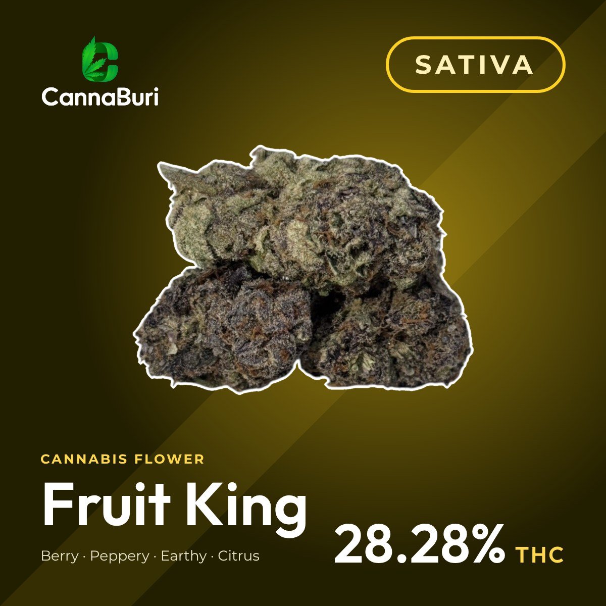 Fruit King sativa cannabis flower, CannaBuri Pattaya
