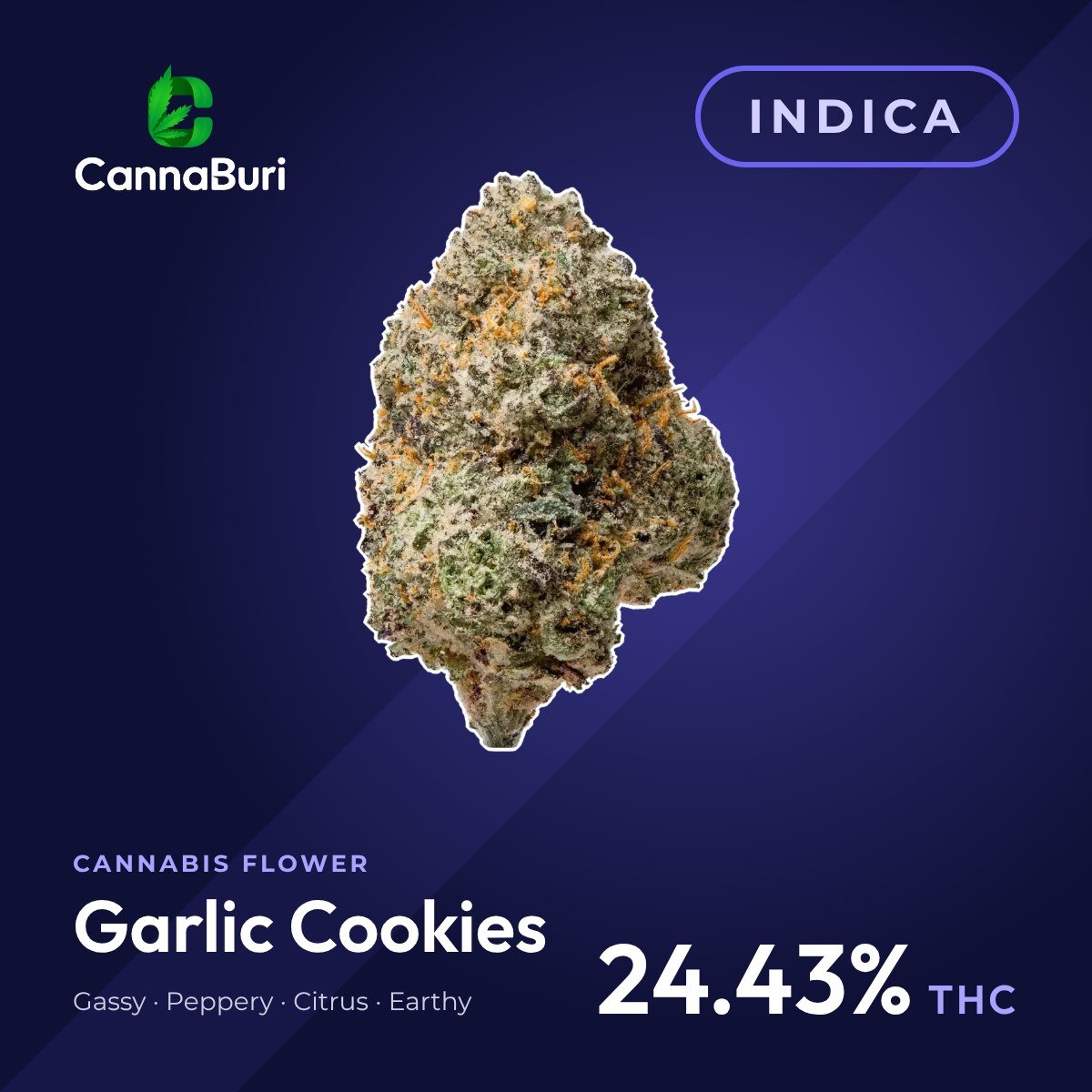 Garlic Cookies indica cannabis flower, CannaBuri Pattaya