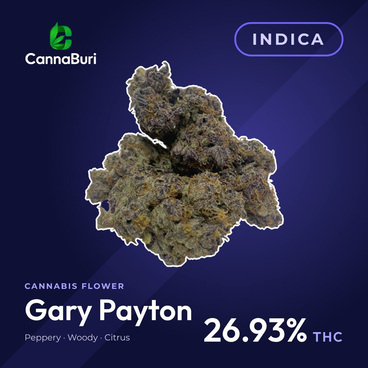 Gary Payton indica cannabis flower, CannaBuri Pattaya
