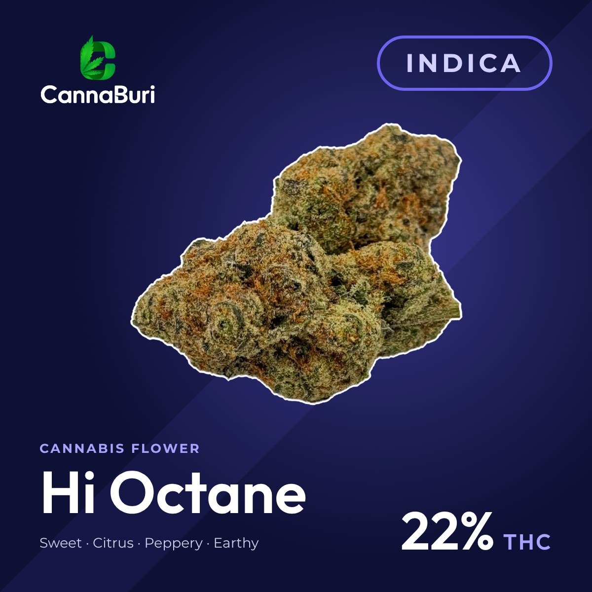 Hi Octane indica cannabis flower, CannaBuri Pattaya