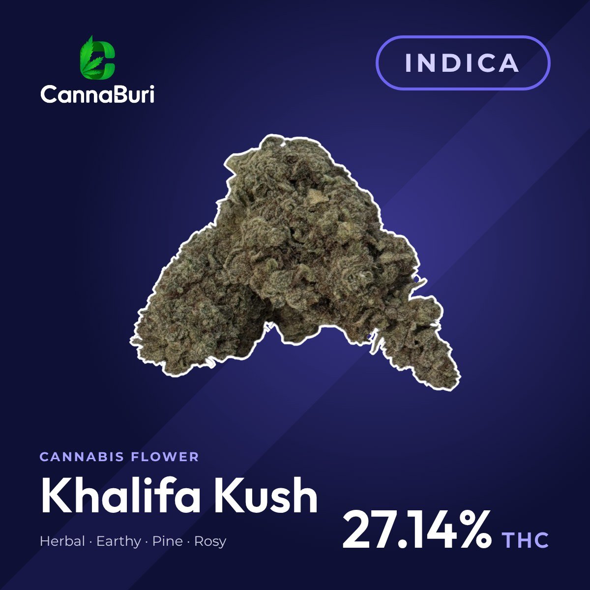 Khalifa Kush indica cannabis flower, CannaBuri Pattaya