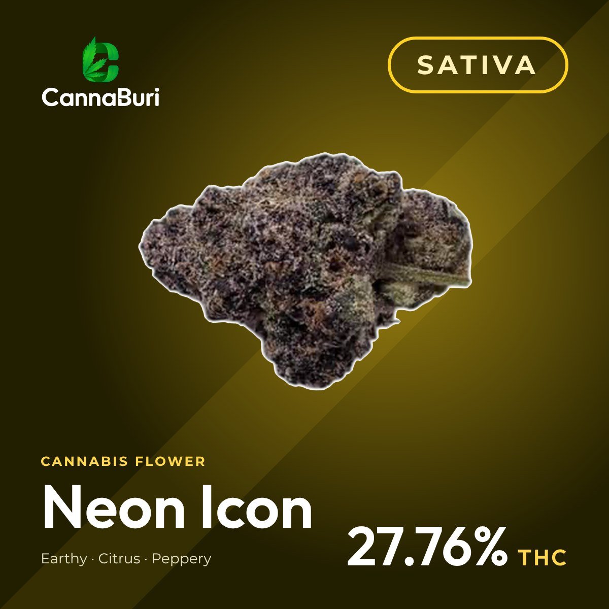 Neon Icon sativa cannabis flower, CannaBuri Pattaya