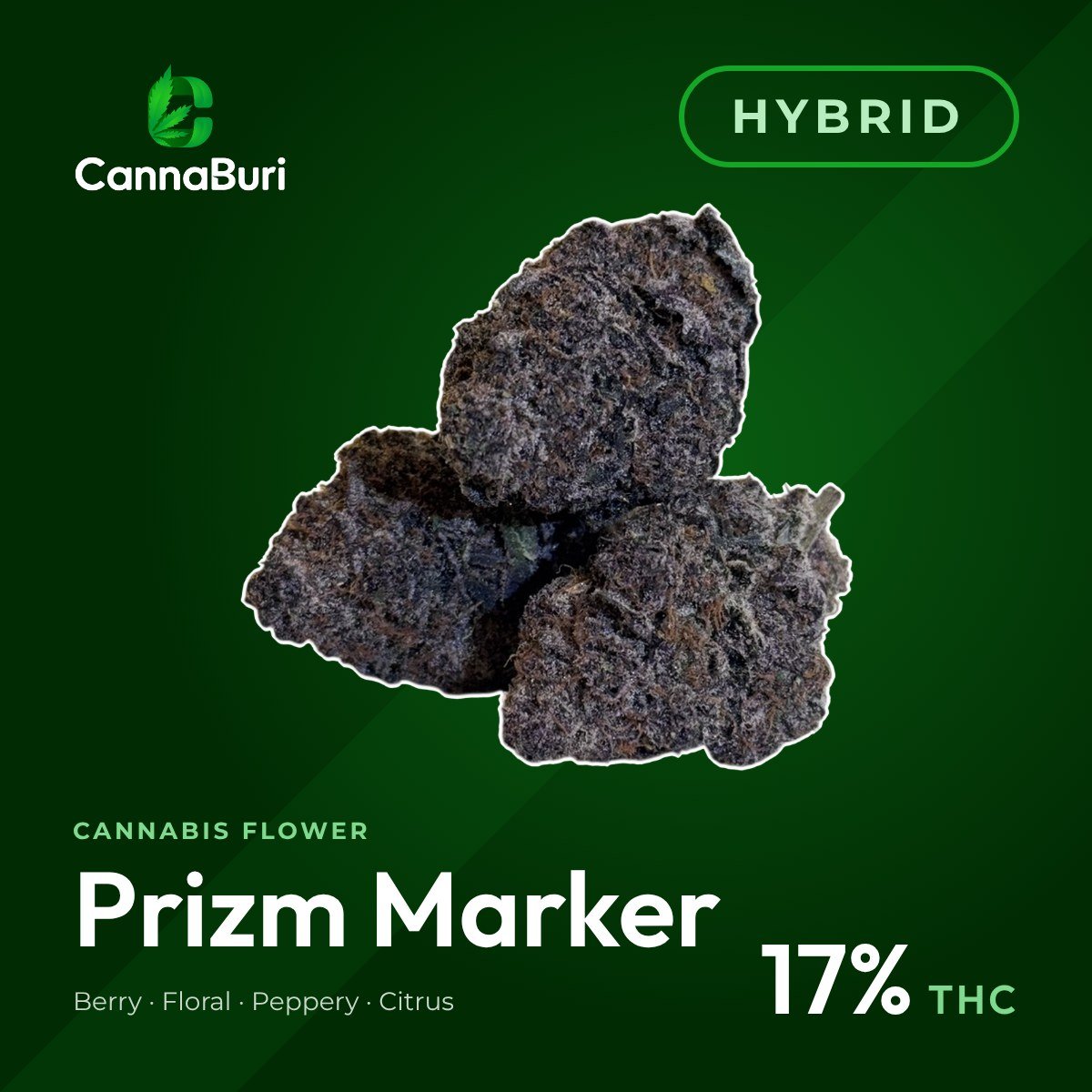 Prizm Marker hybrid cannabis flower, CannaBuri Pattaya