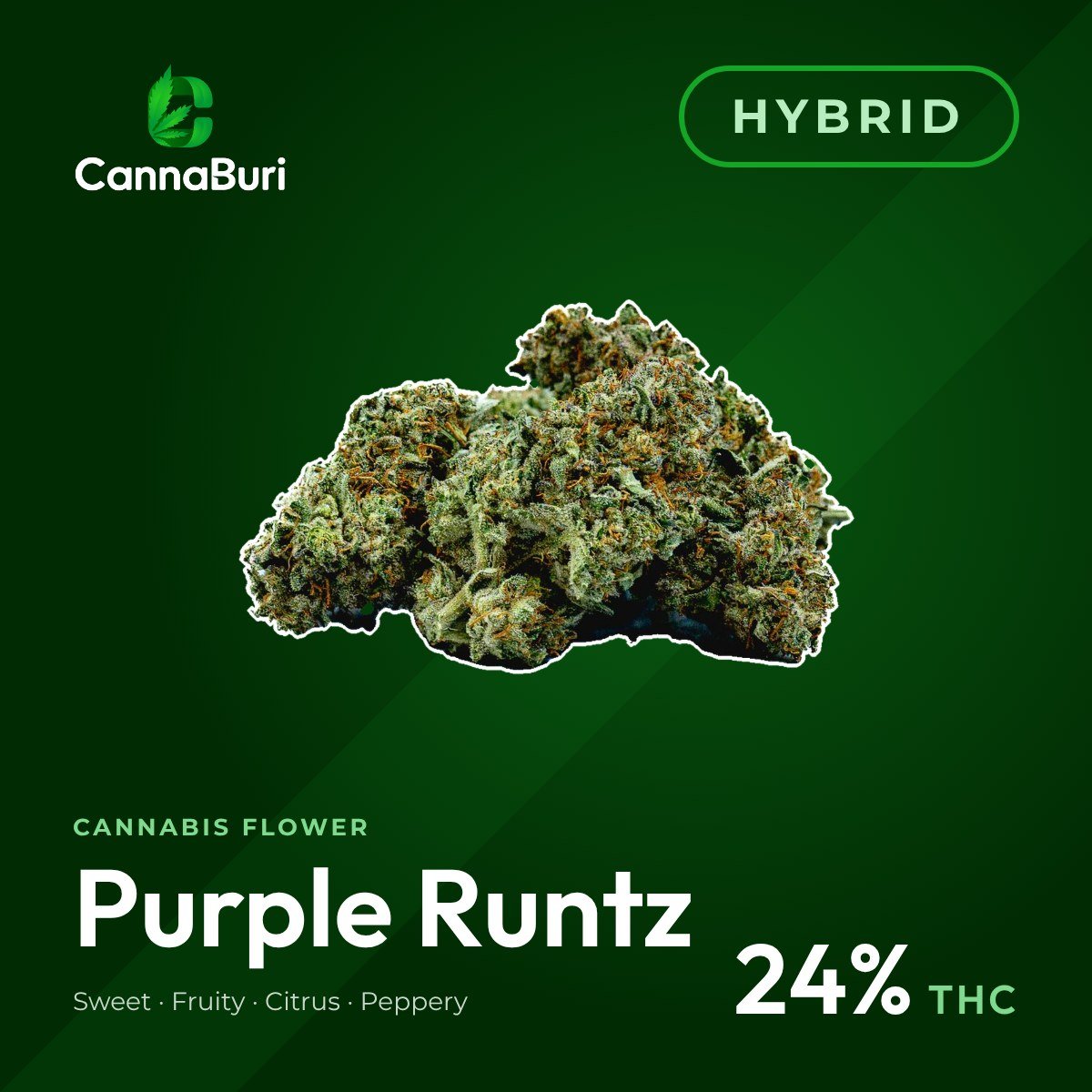 Purple Runtz hybrid cannabis flower, CannaBuri Pattaya