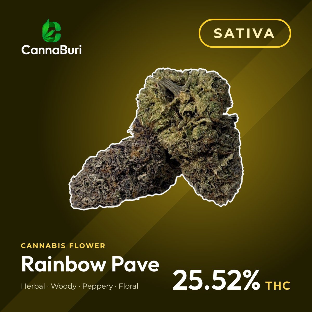 Rainbow Pave sativa cannabis flower, CannaBuri Pattaya