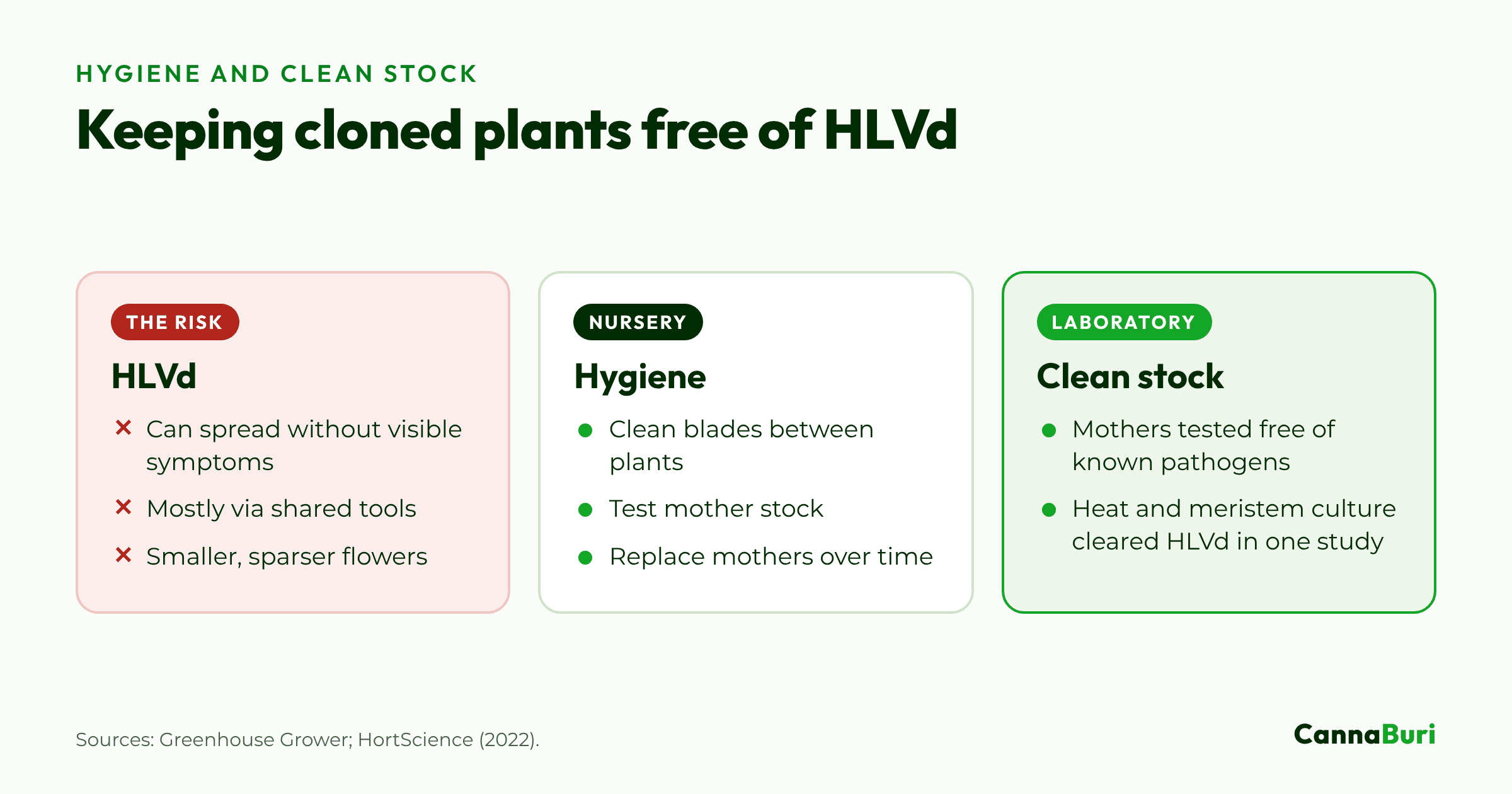 Three cards on hop latent viroid: how it spreads, the hygiene steps nurseries use, and tissue culture to build clean stock.