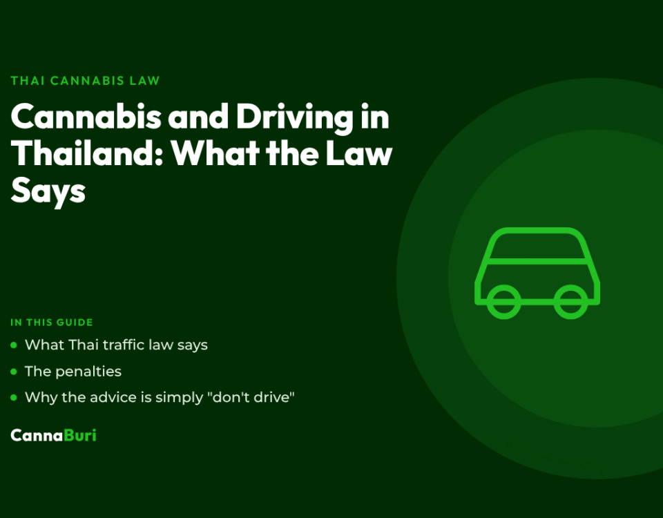 Title card for the CannaBuri guide "Cannabis and Driving in Thailand: What the Law Says", covering what Thai traffic law says, the penalties, and why the advice is simply not to drive