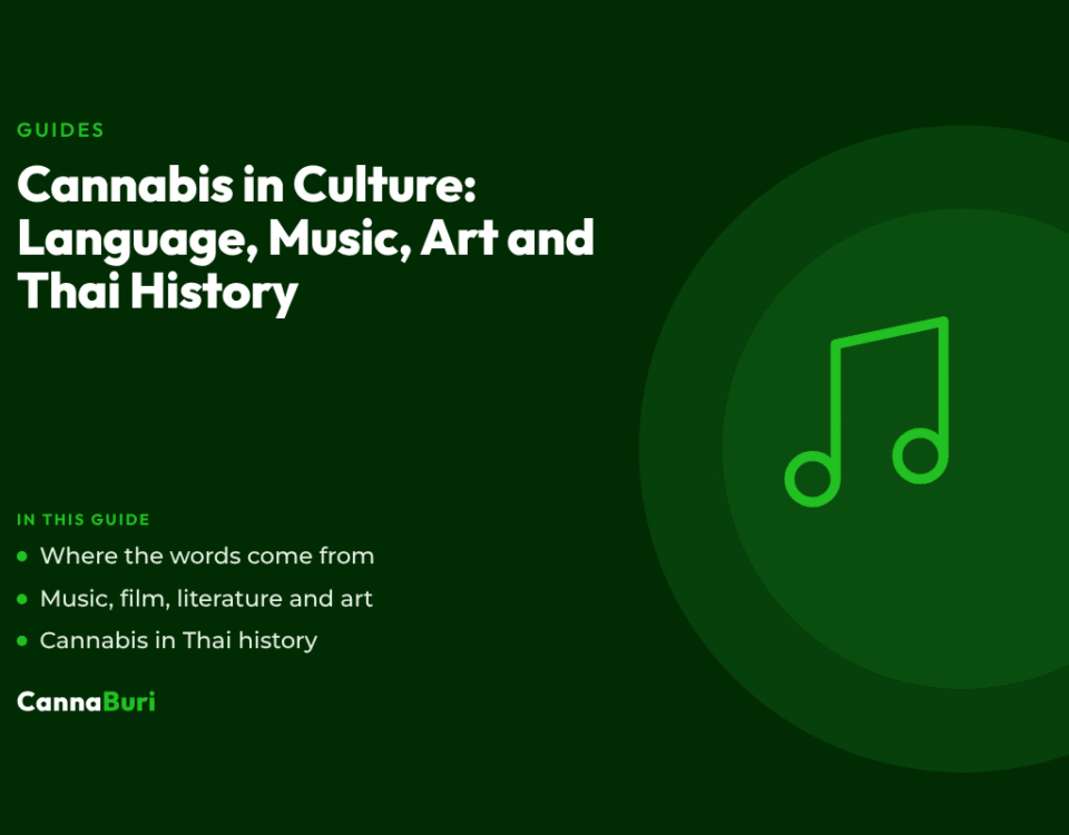 Title card for the CannaBuri guide "Cannabis in Culture: Language, Music, Art and Thai History", covering where cannabis words come from, music, film, literature and art, and cannabis in Thai history