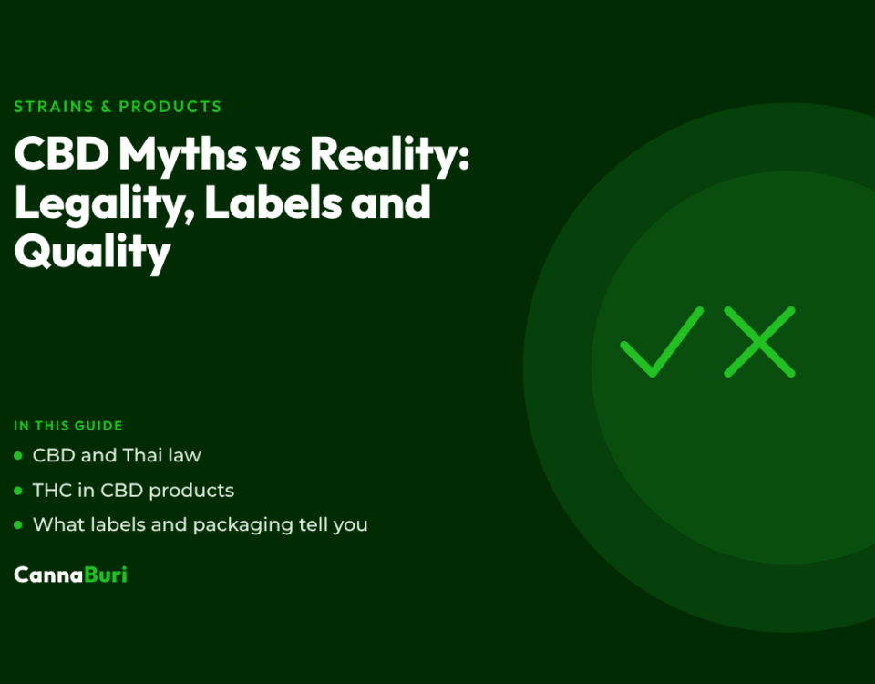 Title card for the CannaBuri guide "CBD Myths vs Reality: Legality, Labels and Quality", covering CBD and Thai law, THC in CBD products, and what labels and packaging tell you