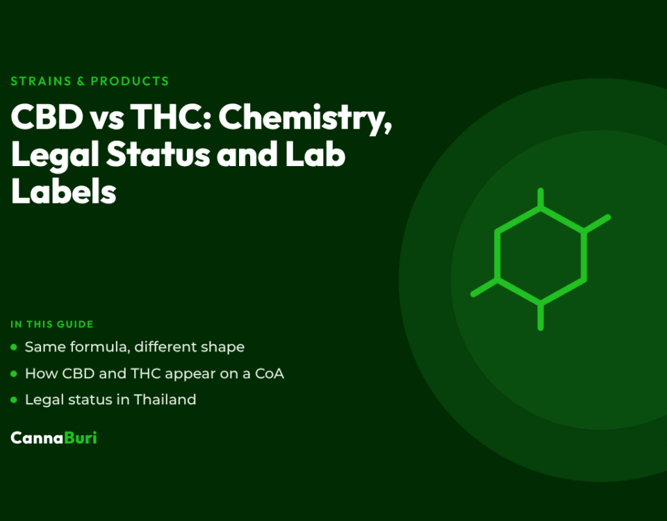 Title card for the CannaBuri guide "CBD vs THC: Chemistry, Legal Status and Lab Labels", covering how CBD and THC share a formula but differ in shape, how they appear on a CoA, and their legal status in Thailand