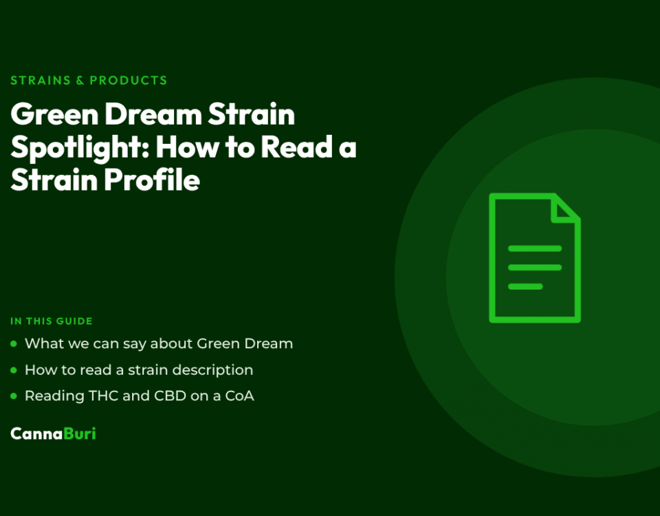 Title card for the CannaBuri guide "Green Dream Strain Spotlight: How to Read a Strain Profile", covering what is known about Green Dream, how to read a strain description, and reading THC and CBD on a CoA
