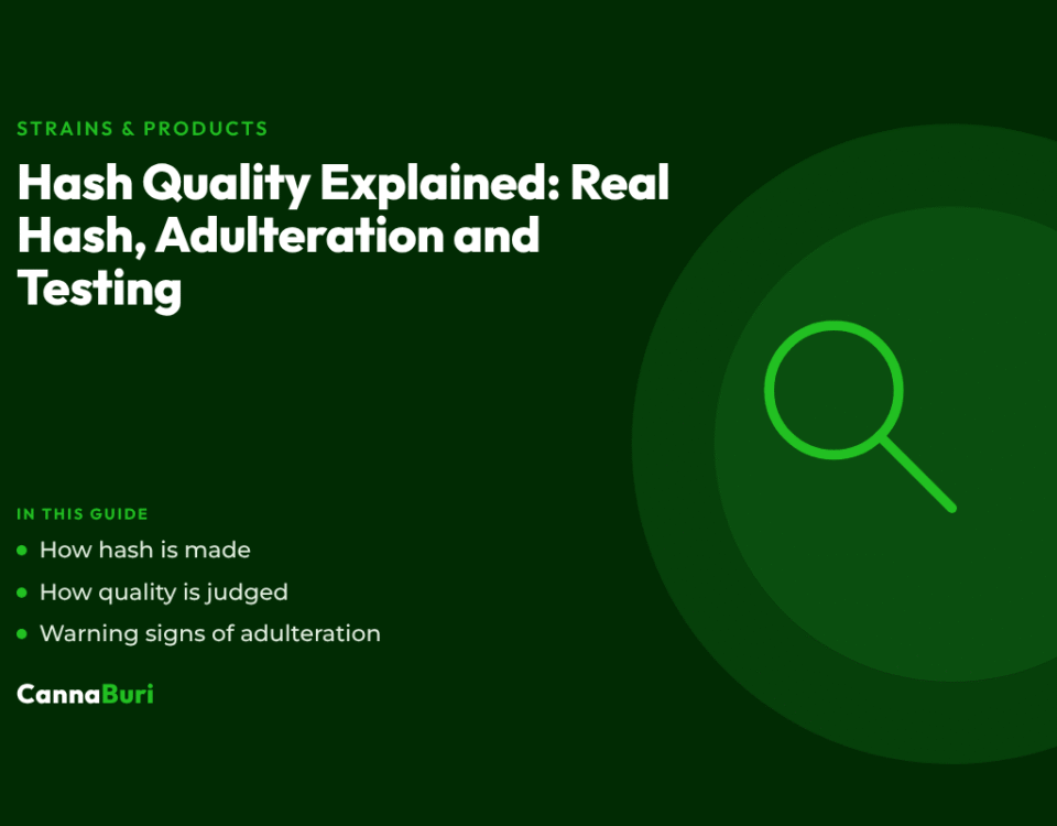Title card for the CannaBuri guide "Hash Quality Explained: Real Hash, Adulteration and Testing", covering how hash is made, how quality is judged, and warning signs of adulteration