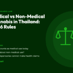 Title card for the CannaBuri guide "Medical vs Non-Medical Cannabis in Thailand: 2026 Rules", covering what counts as medical use today, non-medical use, and why dispensaries cannot make health claims