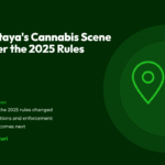 Title card for the CannaBuri guide "Pattaya's Cannabis Scene After the 2025 Rules", covering what the 2025 rules changed, inspections and enforcement, and what comes next