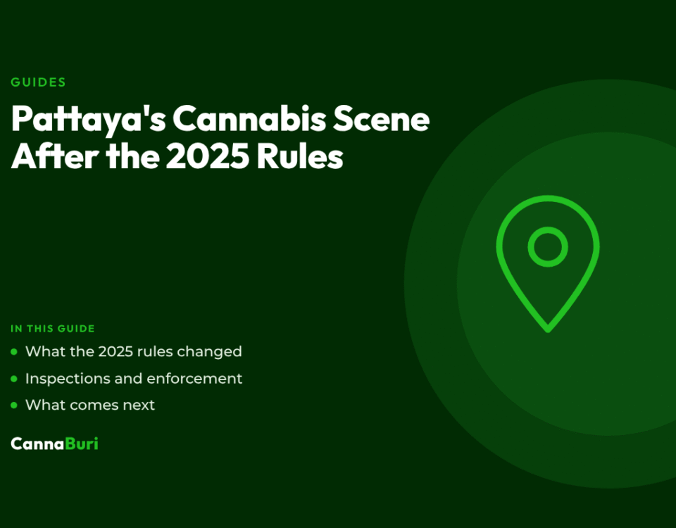 Title card for the CannaBuri guide "Pattaya's Cannabis Scene After the 2025 Rules", covering what the 2025 rules changed, inspections and enforcement, and what comes next