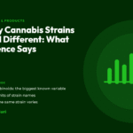 Title card for the CannaBuri guide "Why Cannabis Strains Feel Different: What Science Says", covering cannabinoids, the limits of strain names, and why the same strain varies