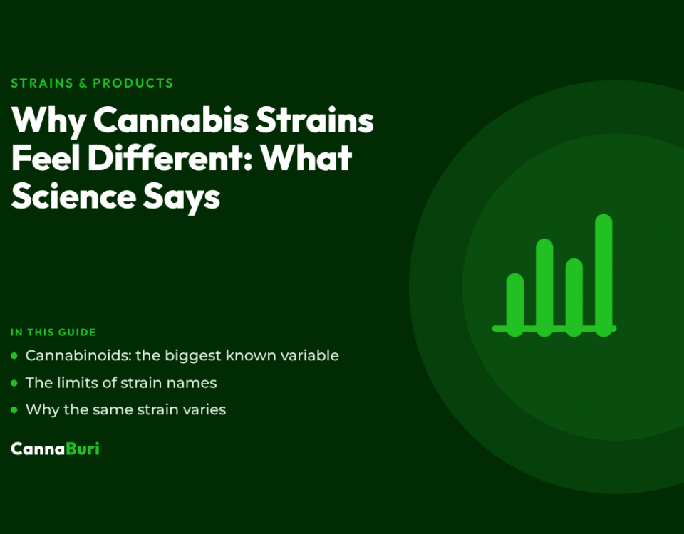 Title card for the CannaBuri guide "Why Cannabis Strains Feel Different: What Science Says", covering cannabinoids, the limits of strain names, and why the same strain varies