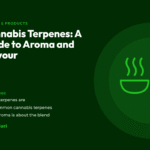Title card for the CannaBuri guide "Cannabis Terpenes: A Guide to Aroma and Flavour", covering what terpenes are, six common cannabis terpenes, and why aroma is about the blend