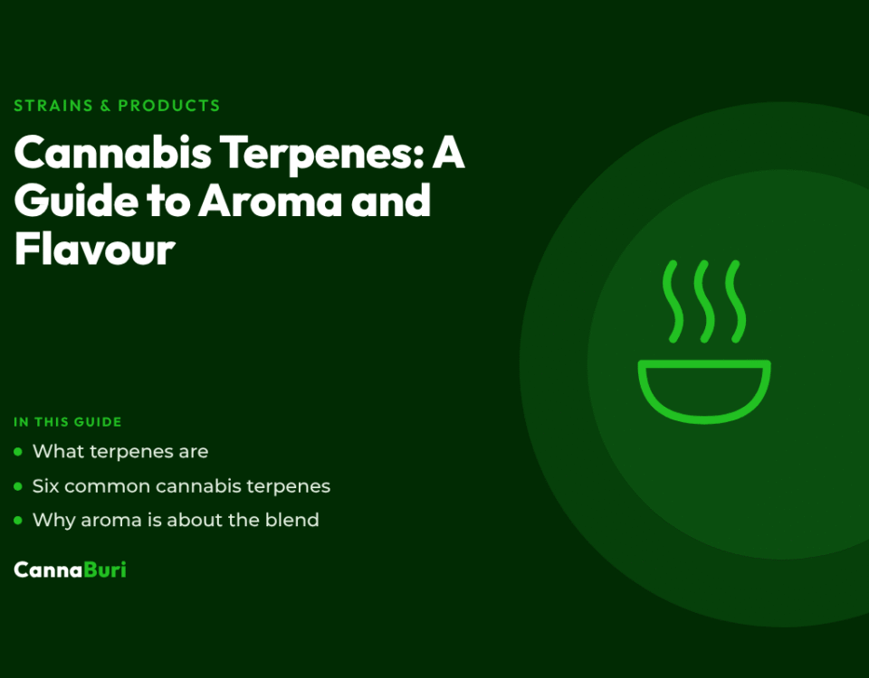 Title card for the CannaBuri guide "Cannabis Terpenes: A Guide to Aroma and Flavour", covering what terpenes are, six common cannabis terpenes, and why aroma is about the blend