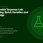 Title card for the CannaBuri guide "Cannabis Terpenes: Lab Testing, Batch Variation and Storage", covering how terpenes are measured, why aroma varies between batches, and how storage affects terpenes
