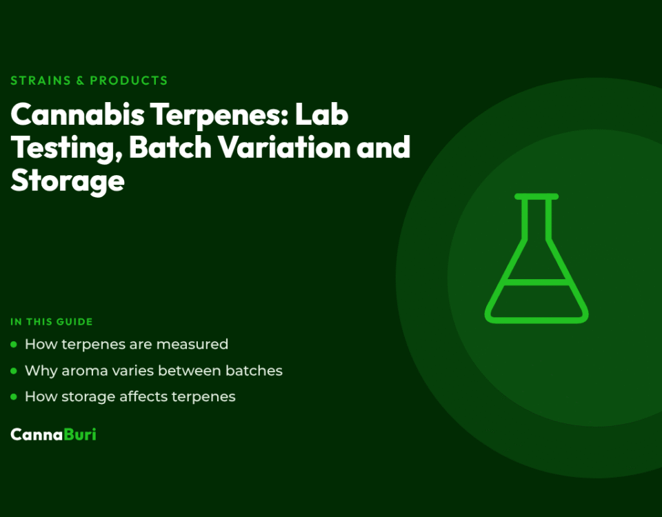 Title card for the CannaBuri guide "Cannabis Terpenes: Lab Testing, Batch Variation and Storage", covering how terpenes are measured, why aroma varies between batches, and how storage affects terpenes