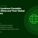 Title card for the CannaBuri guide "Thai Landrace Cannabis: Thai Sticks and Their Global Legacy", covering what Thai landrace cannabis is, the story from prohibition to Thai sticks, and how Thai genetics shaped modern strains