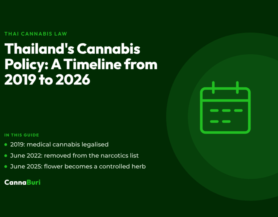 Title card for the CannaBuri guide "Thailand's Cannabis Policy: A Timeline from 2019 to 2026", covering 2019 medical legalisation, removal from the narcotics list in June 2022, and flower becoming a controlled herb in June 2025