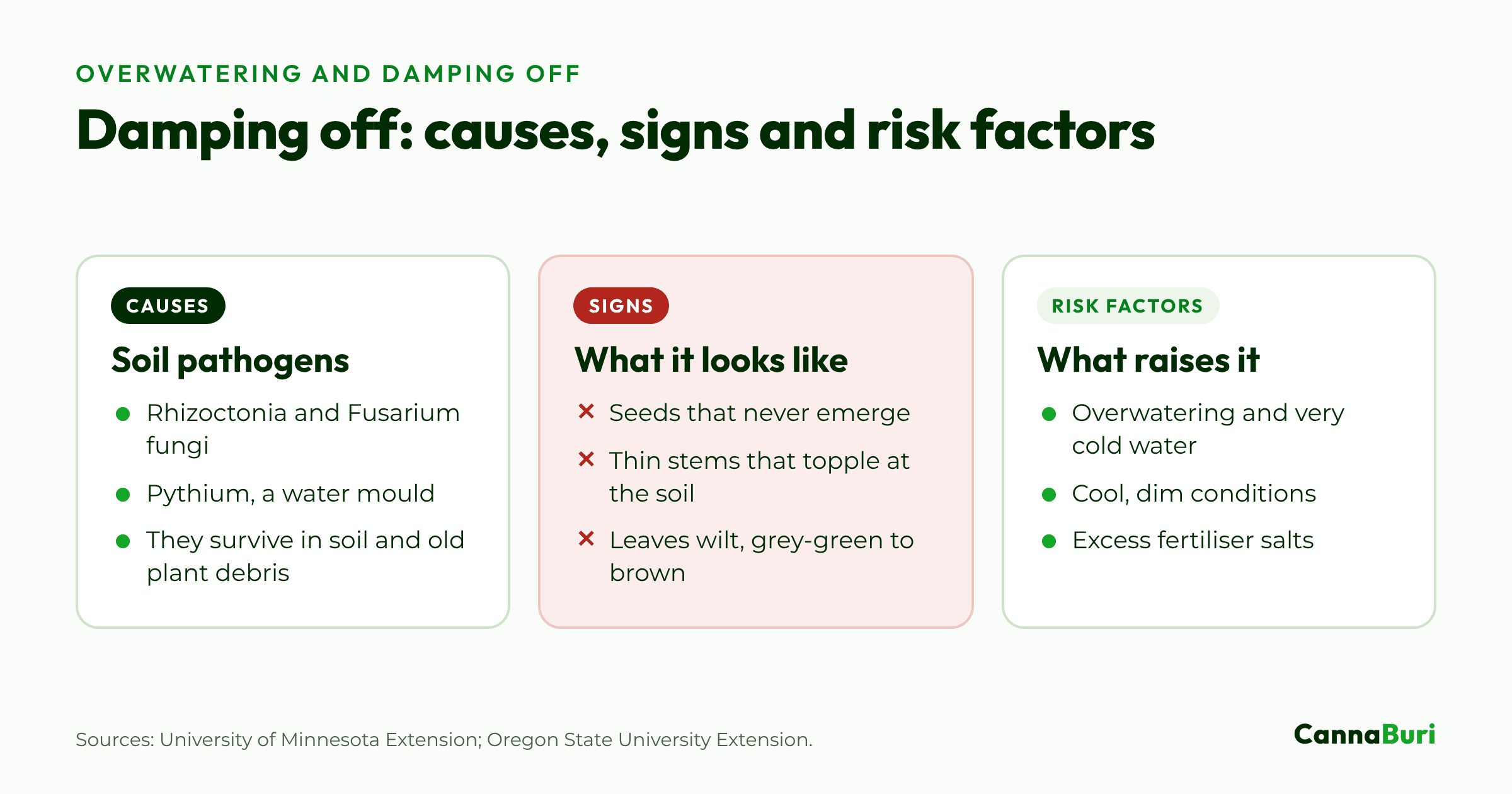 Three cards on damping off in seedlings: the soil pathogens that cause it, the signs it shows, and the conditions that raise the risk.