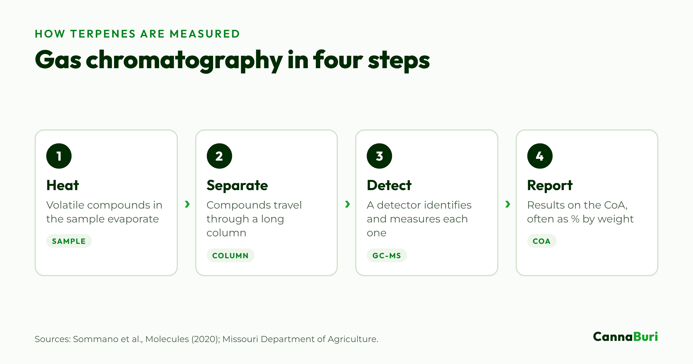 Four steps of gas chromatography: the sample is heated, compounds are separated in a column, a detector measures each one, and results appear on the CoA.