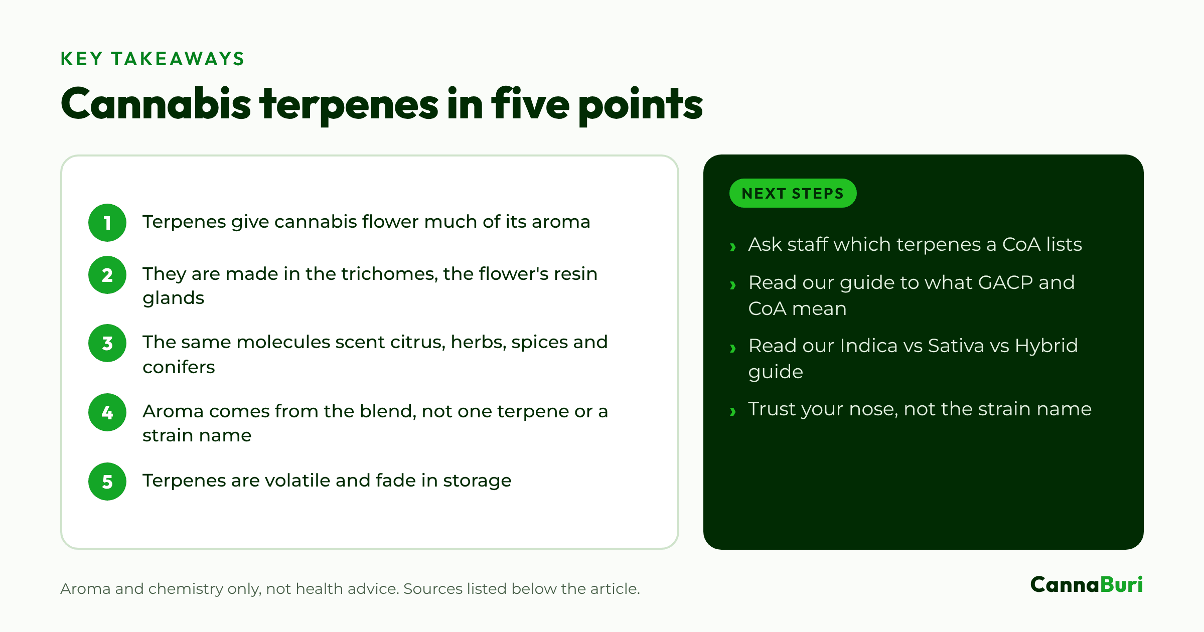 Key takeaways: five points on cannabis terpenes and aroma, with next steps for readers.