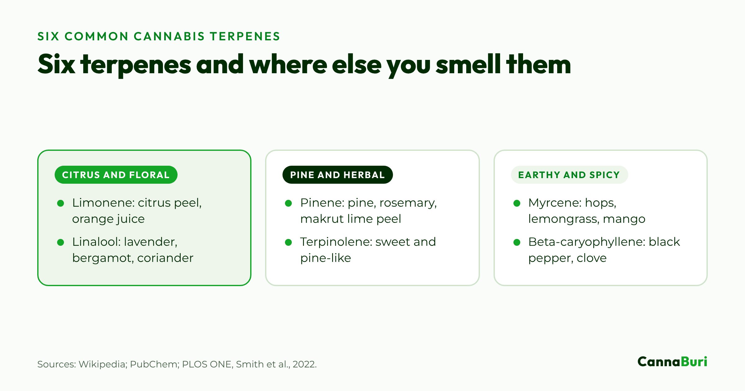 Six cannabis terpenes grouped by aroma, each with familiar sources such as citrus peel, lavender, pine, hops and black pepper.