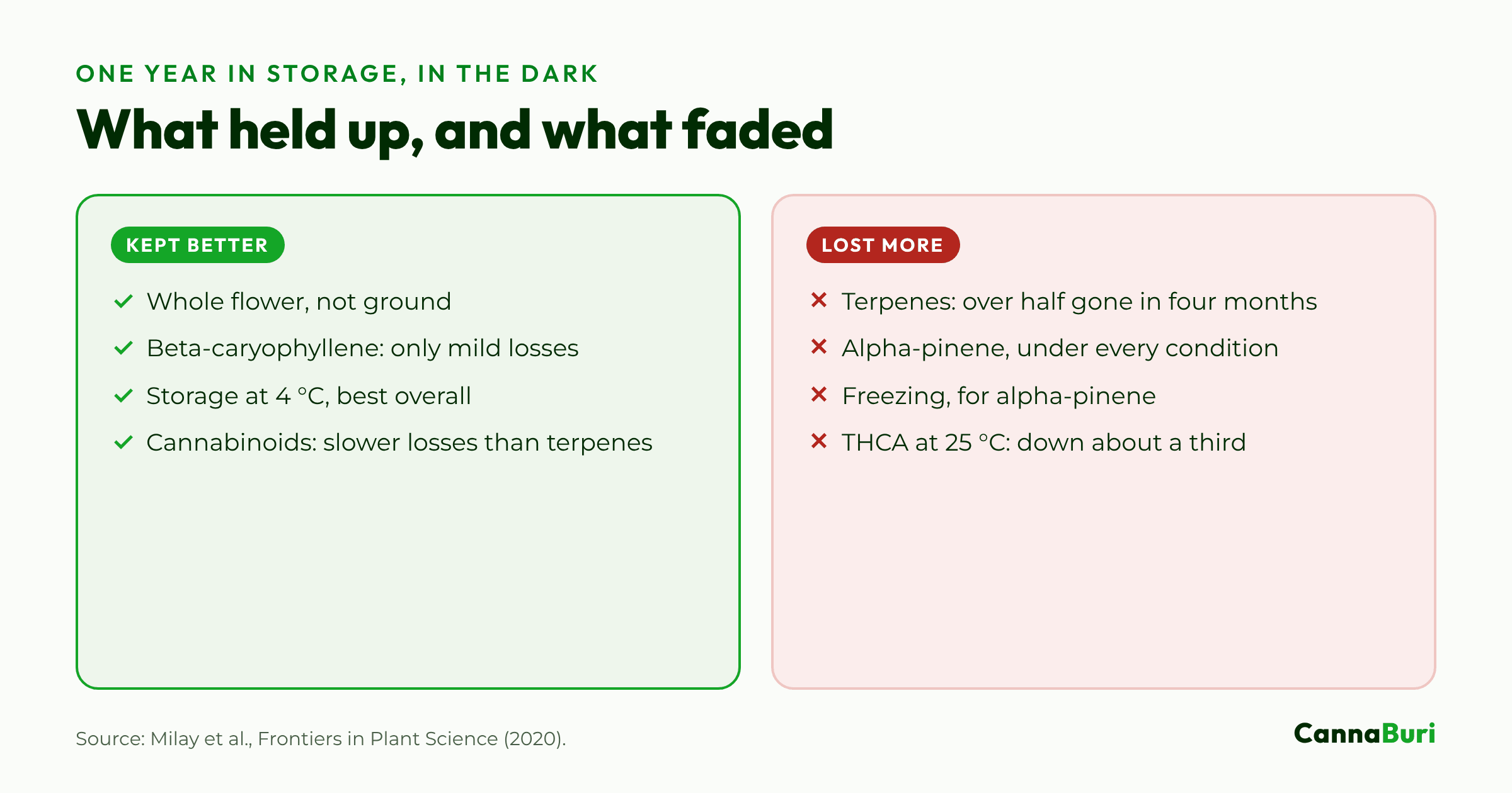 Comparison from a one-year storage study of what kept better, such as whole flower at 4 °C, and what was lost more, such as alpha-pinene.